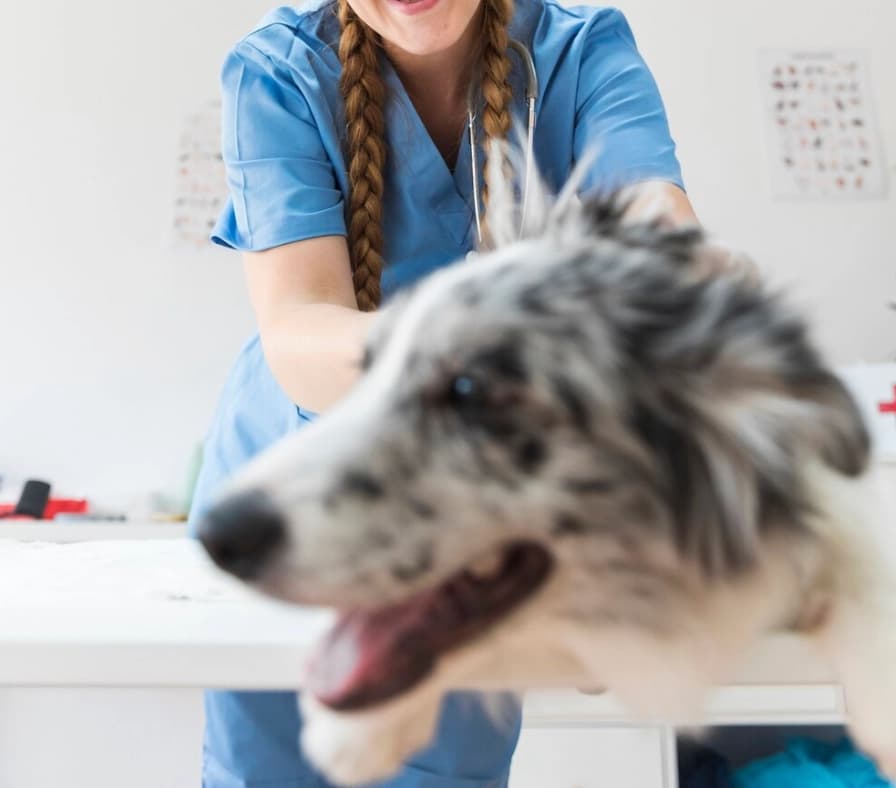 DoctorsBackground